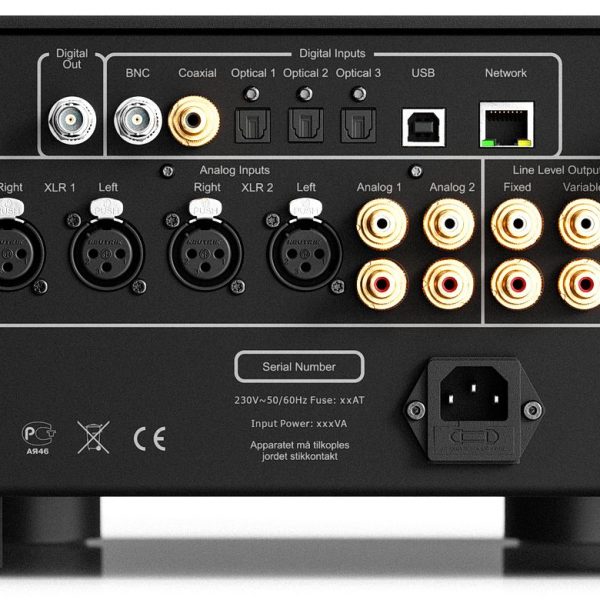 Hegel H600 Integrated Sreaming Amplifier Back