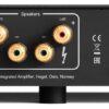 Hegel H150 Integrated Streaming Amplifier Back