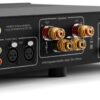 Hegel H150 Integrated Streaming Amplifier Back Diagonal