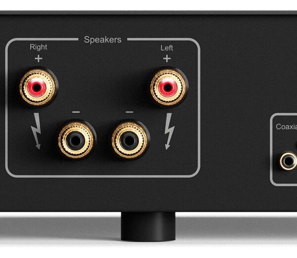 Hegel H190v Integrated Streaming Amplifier Back