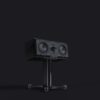 Perlisten Centre Speaker R5c On Stand