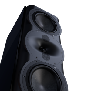 Perlisten Monitor Speaker R5m D Btmup Trans