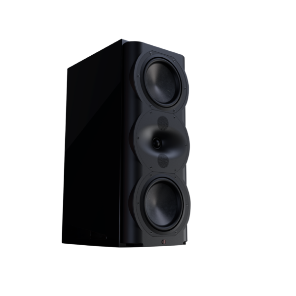 Perlisten Monitor Speaker R5m D Trans