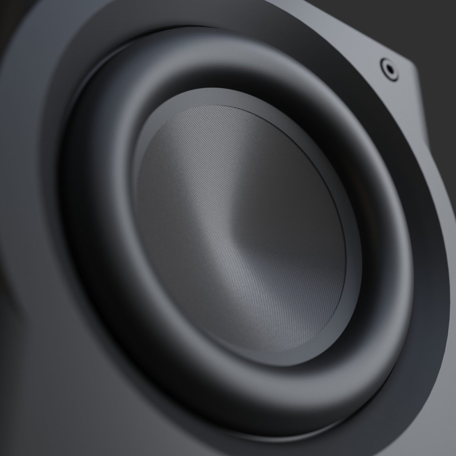 Perlisten R8s Subwoofer Closeup