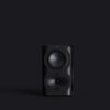 Perlisten Surround Speaker R4s Front