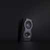 Perlisten Surround Speaker S4s D