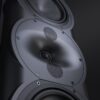 Perlisten Tower Speaker R5t Dpc Waveguide