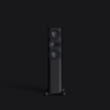 Perlisten Tower Speaker R5t Front