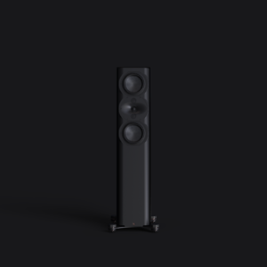 Perlisten Tower Speaker R5t Front