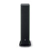 Focal Aria Evo X N2 Green Tower Speaker Front Wg