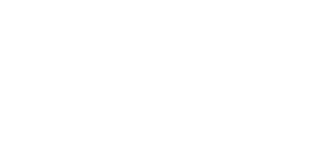 Nordost Cable Logo White 