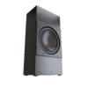 Perlisten R18is Subwoofer D