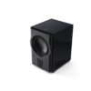 Perlisten Subwoofer R212s D Whtbg