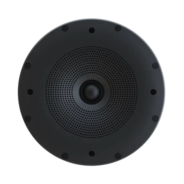 Perlisten X2ic On Wall Speaker Face Transp