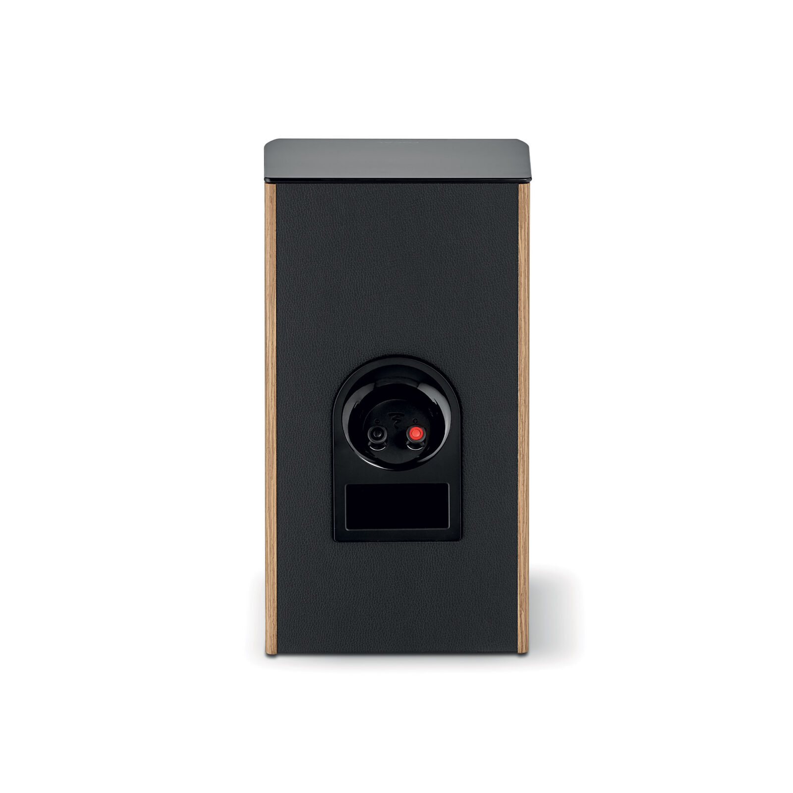 Focal Aria Evo X N1 Walnut Back