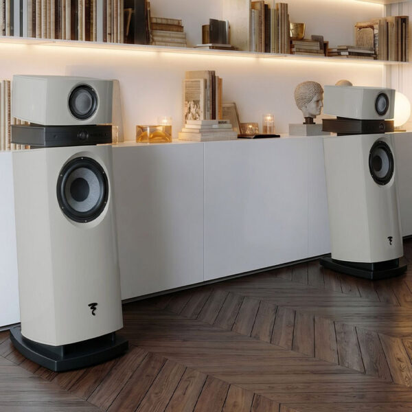 Focal Scala Evo M In Front Bookcase