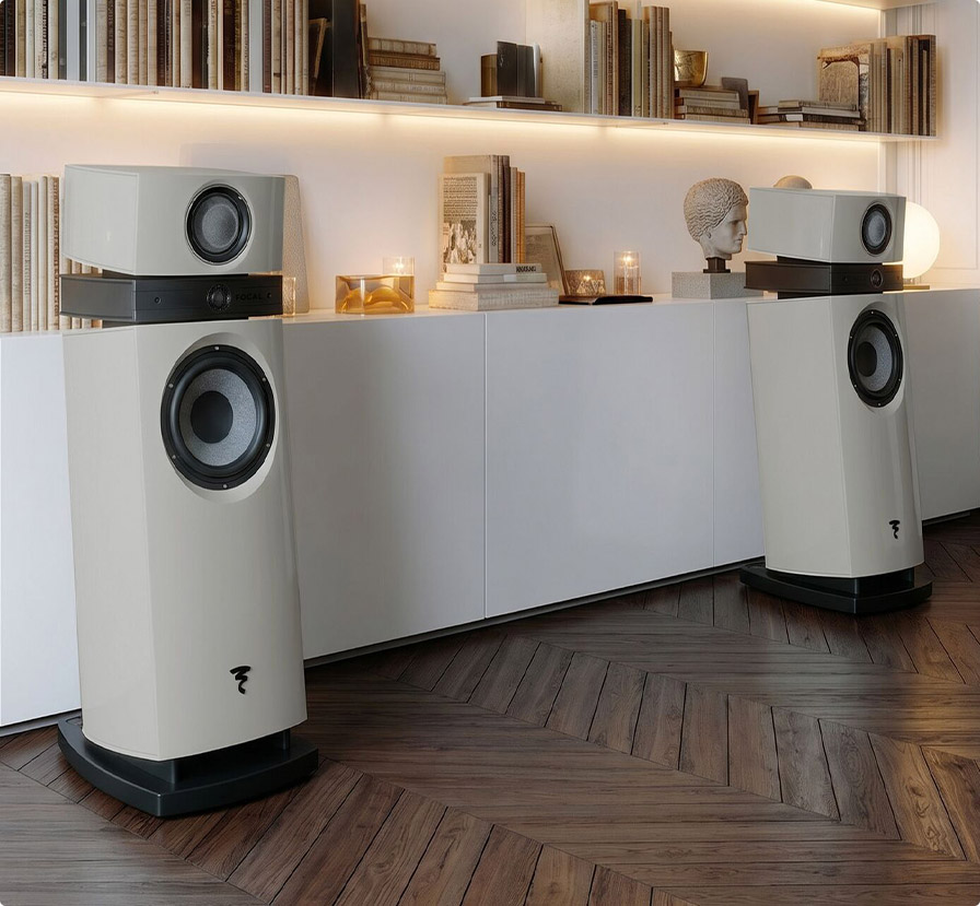 Focal Scala Evo M In Front Bookcase