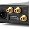 Hegel V10 Phono Preamp Back Dip Switches