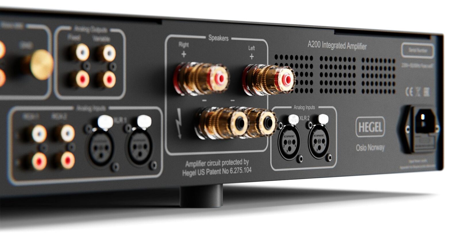 Hegel A200 Integrated Amplifier Back Closeup