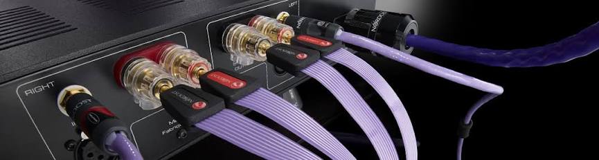Nordost Purple Flare 3 Cables Plugged In